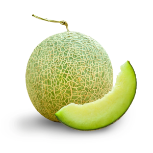 Melon Sky Rocket (1 utuh ±1.5 kg)