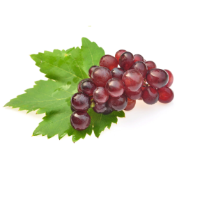 Anggur Red Globe Import