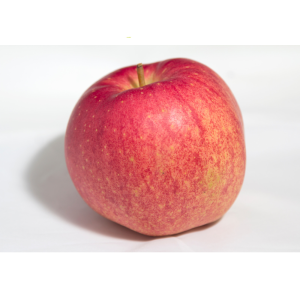 Apel Fuji Premium